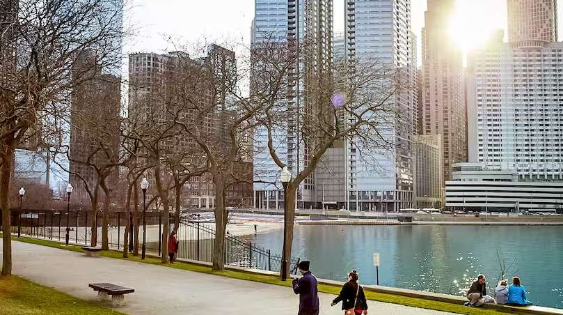 1769603989414953.jpeg image.jpeg